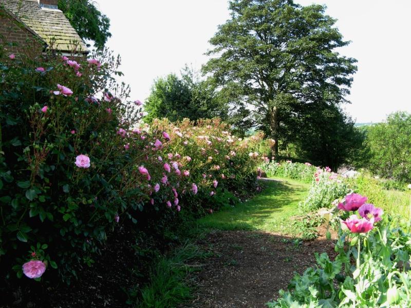 Arthingworth Open Gardens