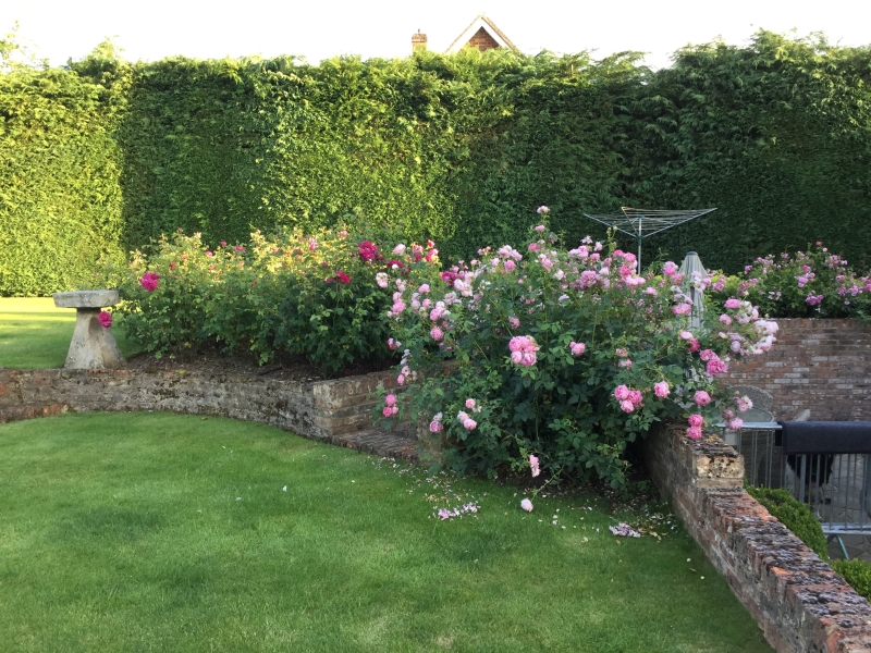 Town Farm Cottage