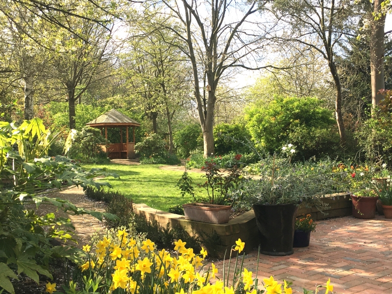 Olden Community Garden image