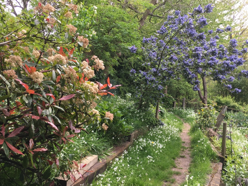 Olden Community Garden