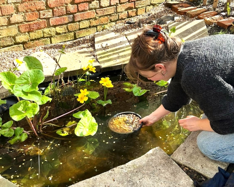 Olden Community Garden