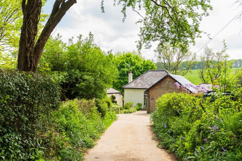 Lewis Cottage