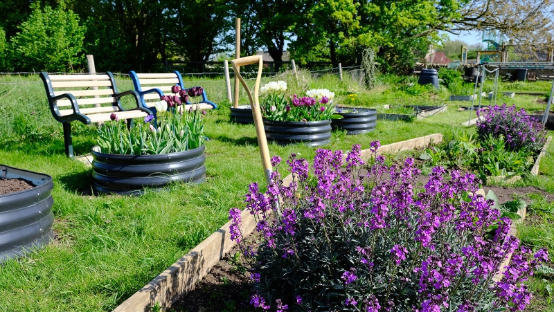 Filkins Allotments