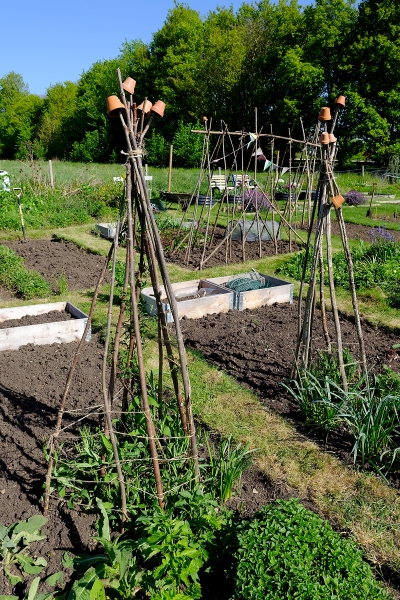 Filkins Allotments
