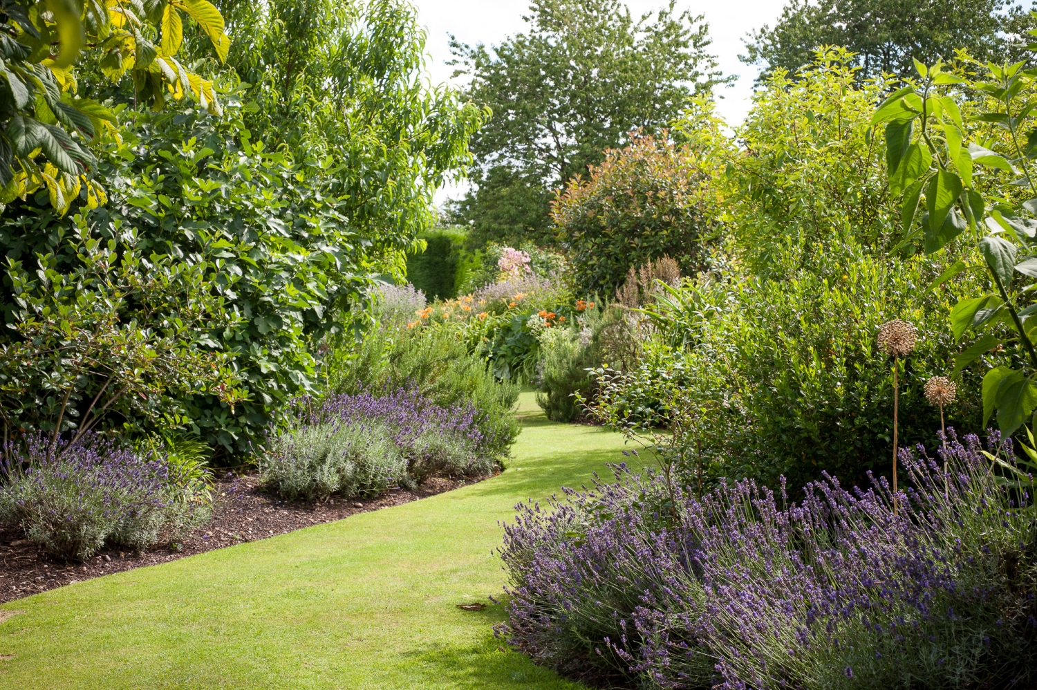 Goldstone Hall Gardens, Market Drayton, Shropshire, TF9 2NA - National ...