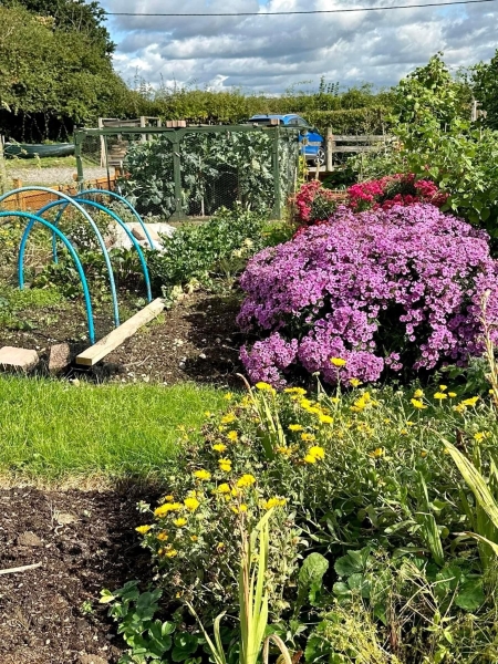 Swallowfield Allotments