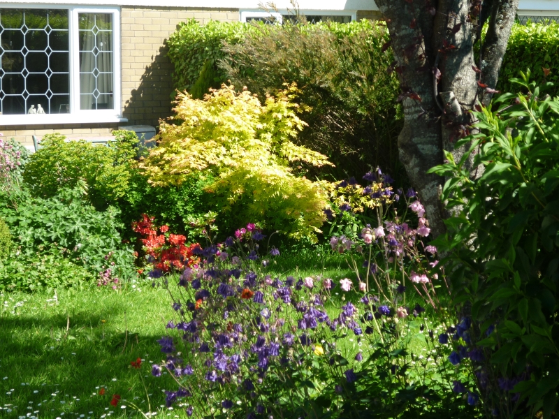 Cefn Cribwr Garden Club