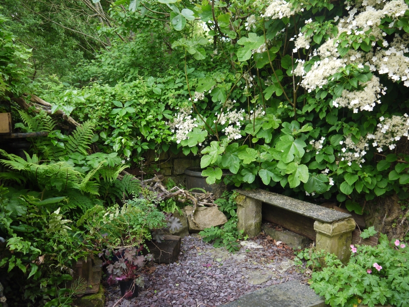 Cefn Cribwr Garden Club