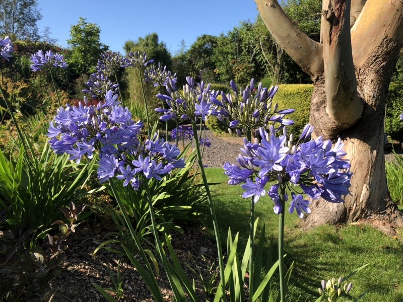 East Woodlands Farmhouse