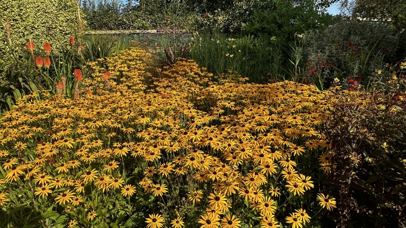 East Woodlands Farmhouse