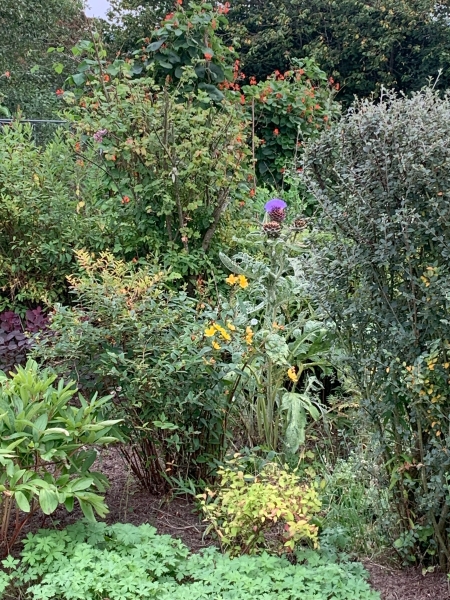 Helen's Garden image