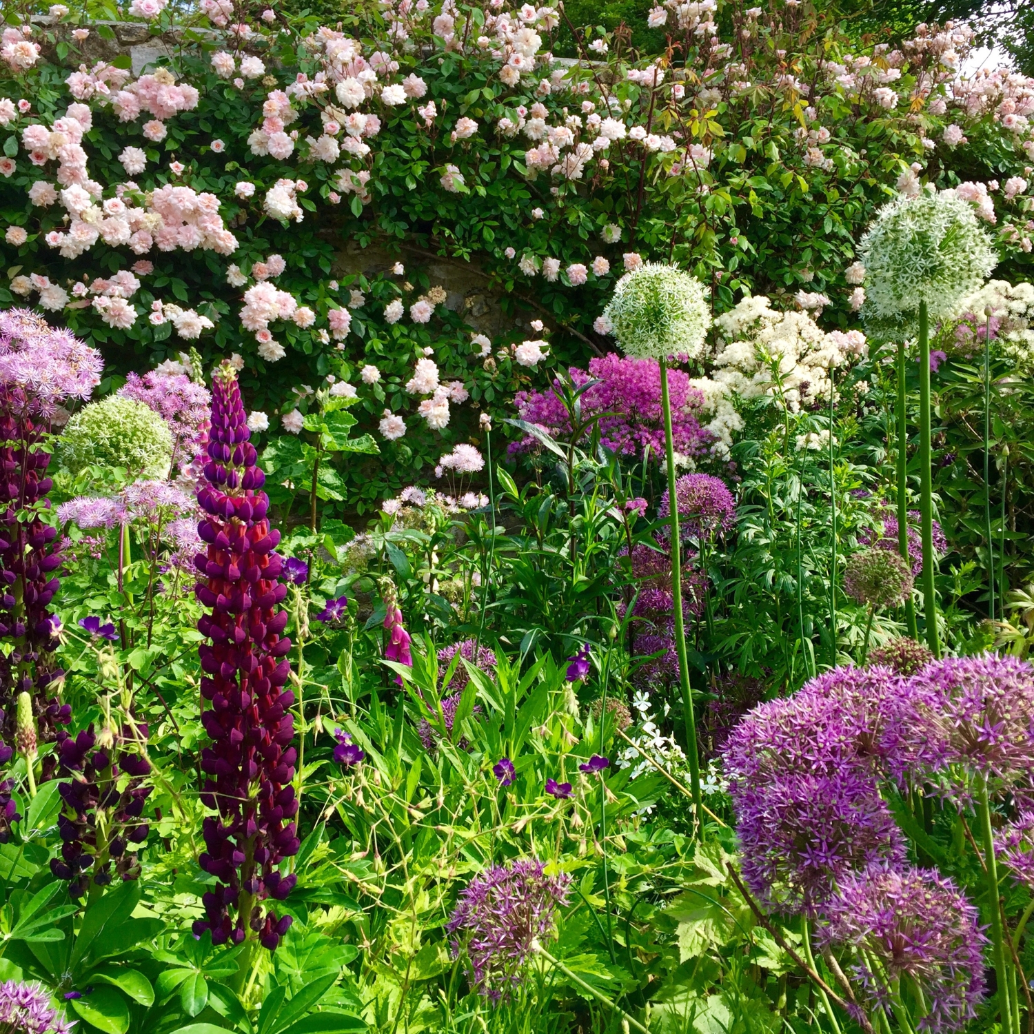 South Wood Farm, Honiton, Devon, EX14 9HU - National Garden Scheme