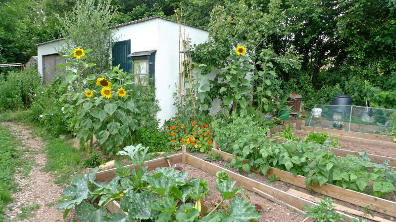Abbotskerswell Allotments