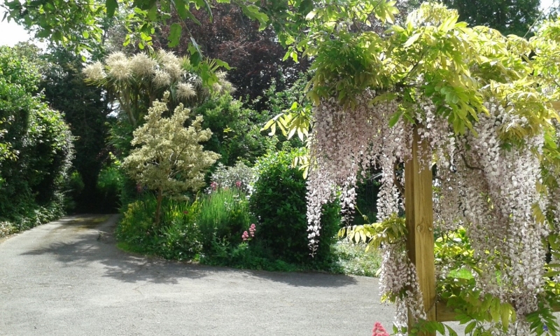 Teignmouth Gardens