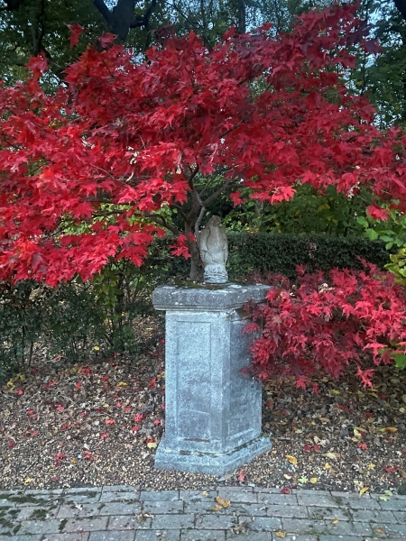 The Garth Pleasure Grounds