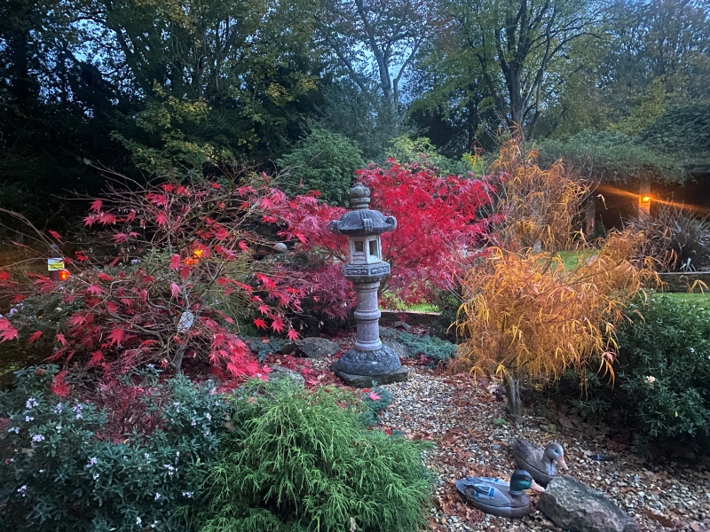 The Garth Pleasure Grounds