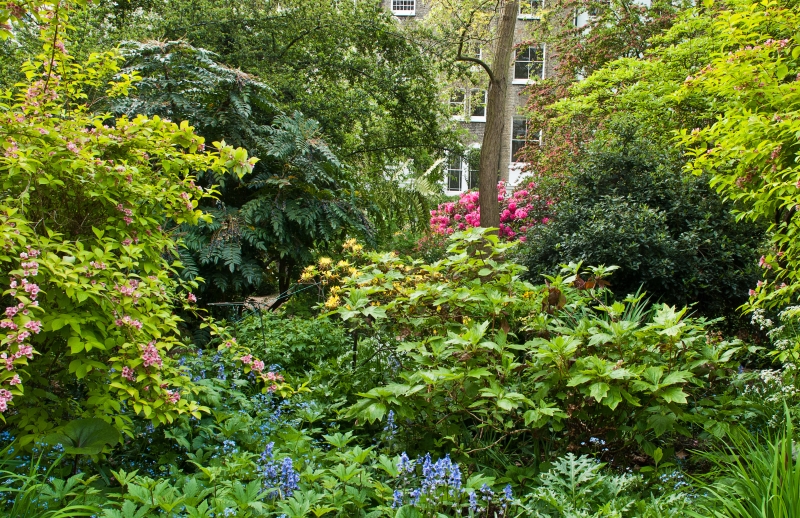 Arundel & Ladbroke Gardens