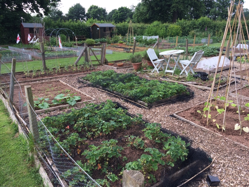 Beehive Hill Allotments