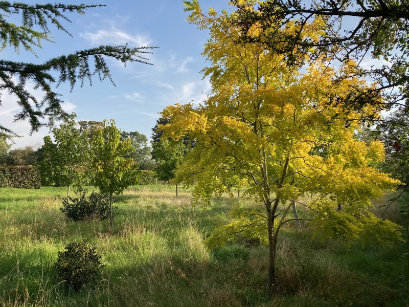 Old Boars Hill Gardens image