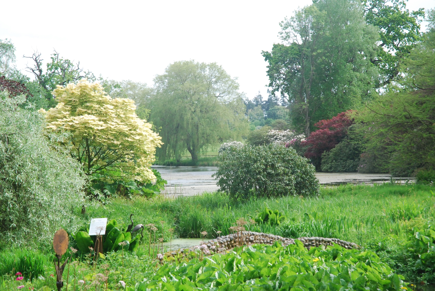 Hoveton Hall Gardens, Norwich, Norfolk, NR12 8RJ - National Garden Scheme