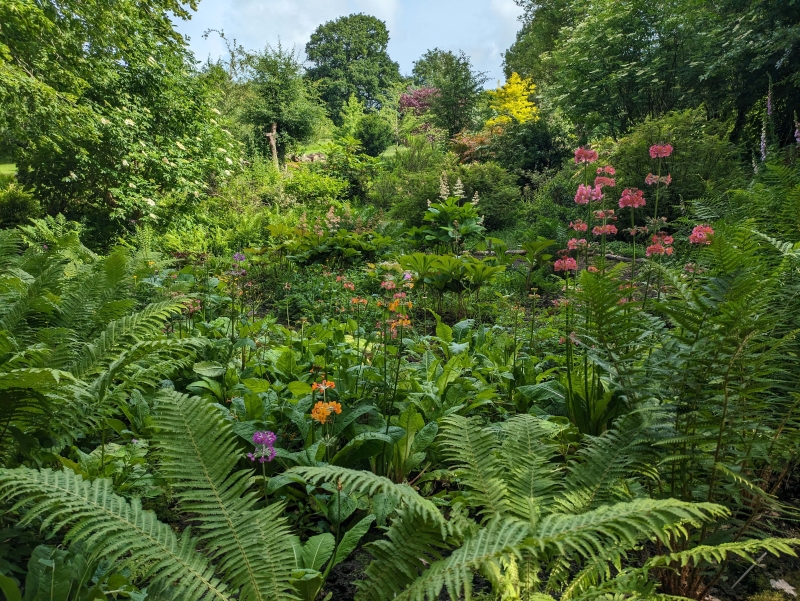 South Kelding