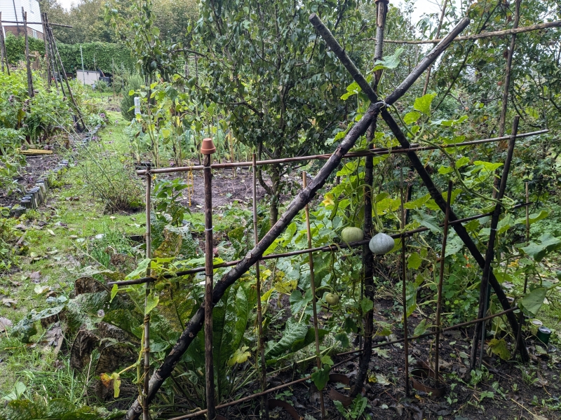 South Street Plots