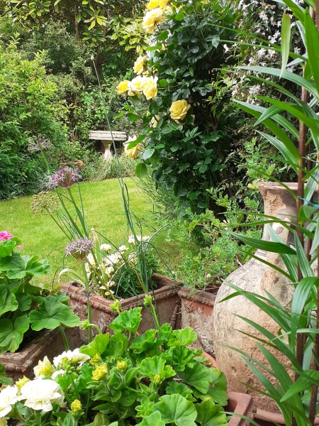 Marksbury Avenue Gardens