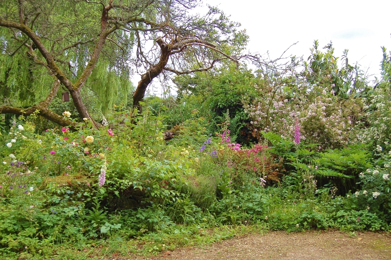 Cumnor Village Gardens