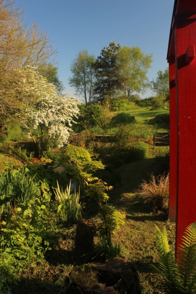 Musselbrook Cottage Garden