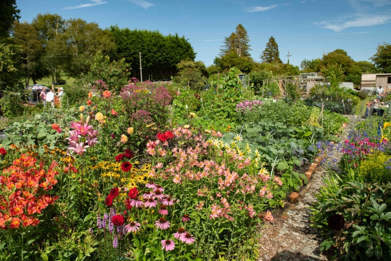 Grange Fell Allotments
