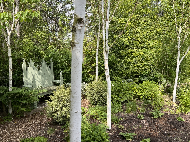 Midsummer House