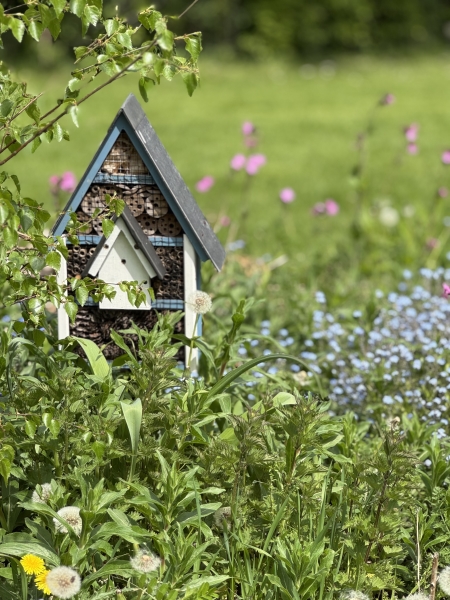 The Therapy Garden