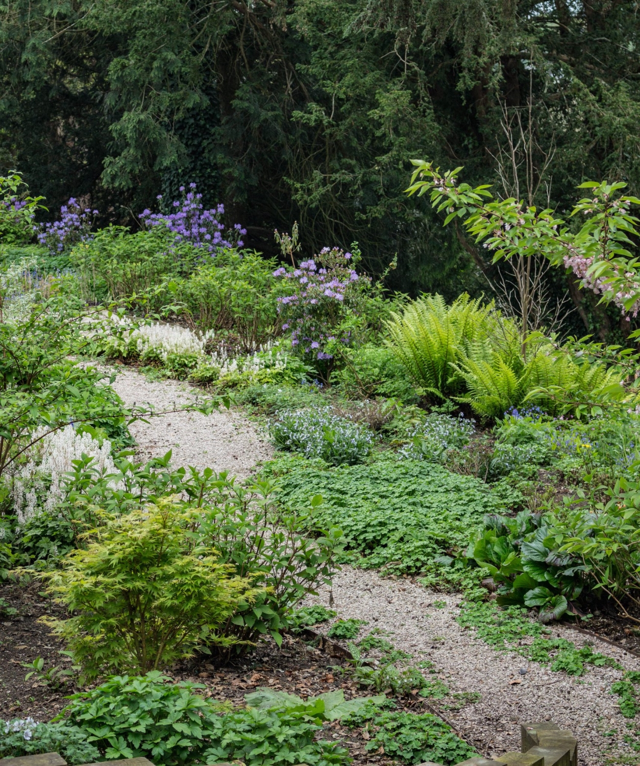 Stonelands House, Dawlish, Devon, EX7 9BQ - National Garden Scheme