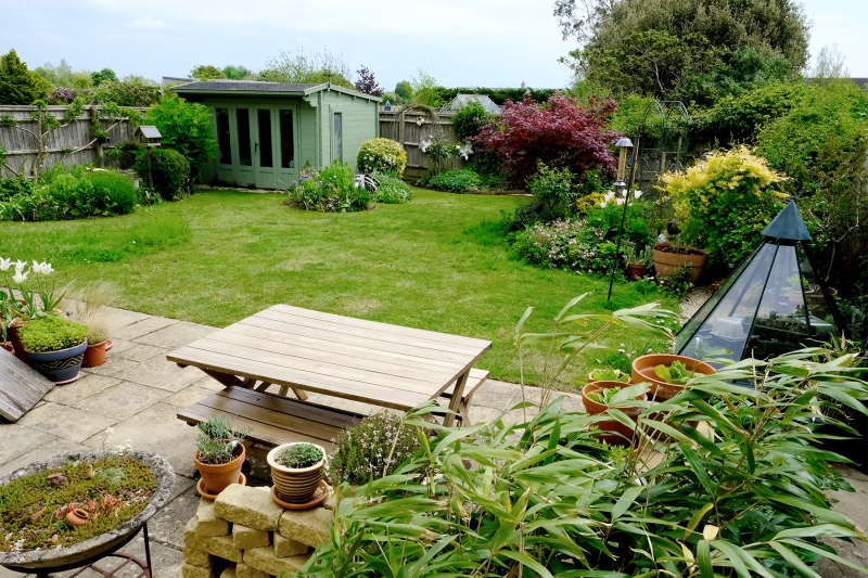Meadow View