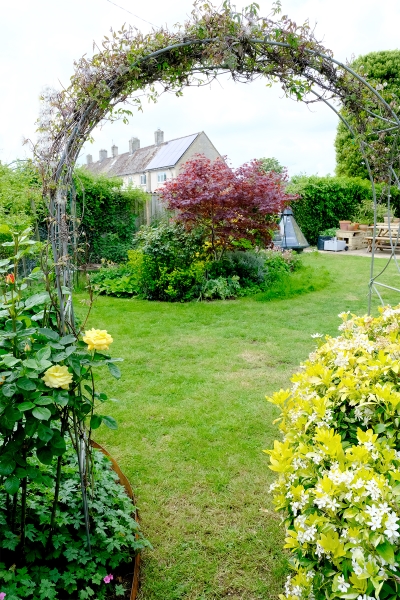 Meadow View