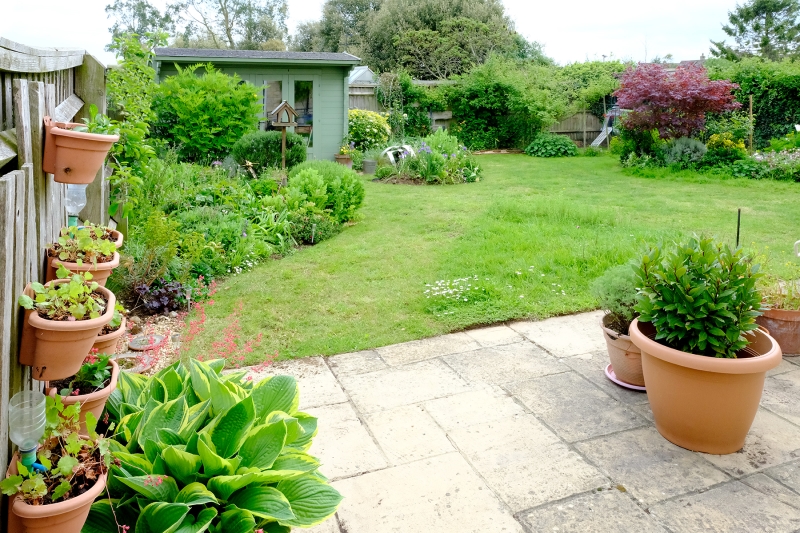 Meadow View