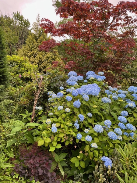 Aber Artro Hall image