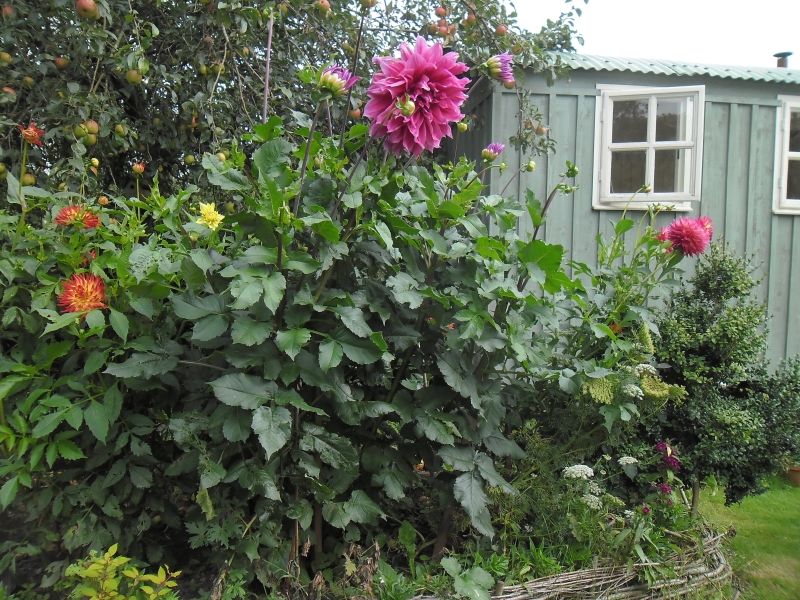 Brook Cottage