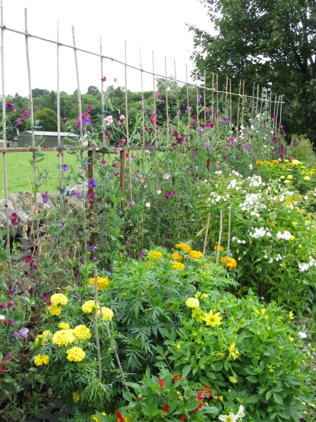 Wolsingham Village Gardens