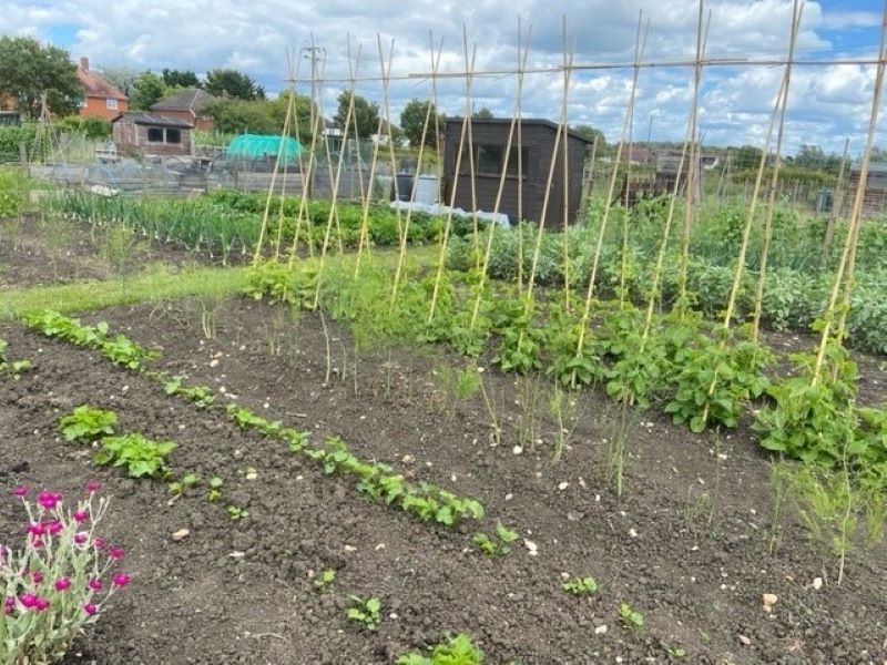 Pebworth Allotments