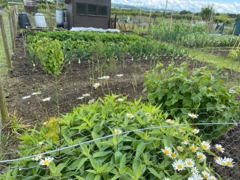 Pebworth Allotments