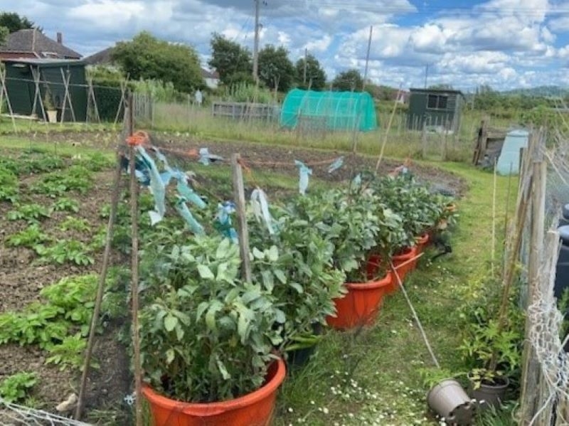 Pebworth Allotments