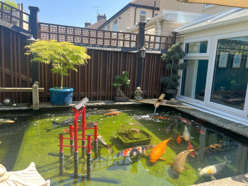Japanese Garden Bristol