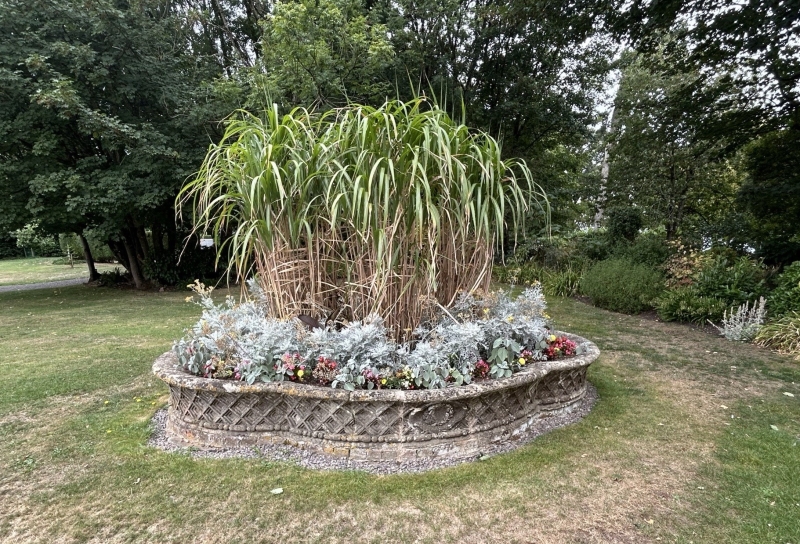 The Downs Preparatory School