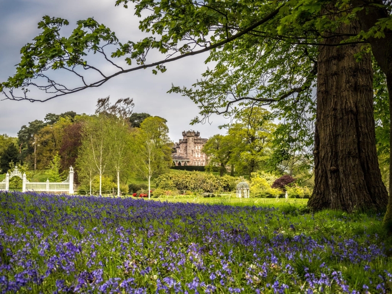 Cholmondeley Castle Gardens