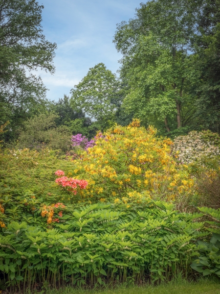 Stanley Hall Gardens