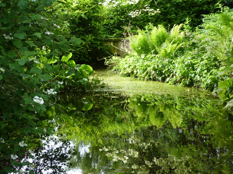 The Fern Nursery and Bowling Club