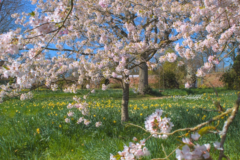 Godinton House & Gardens