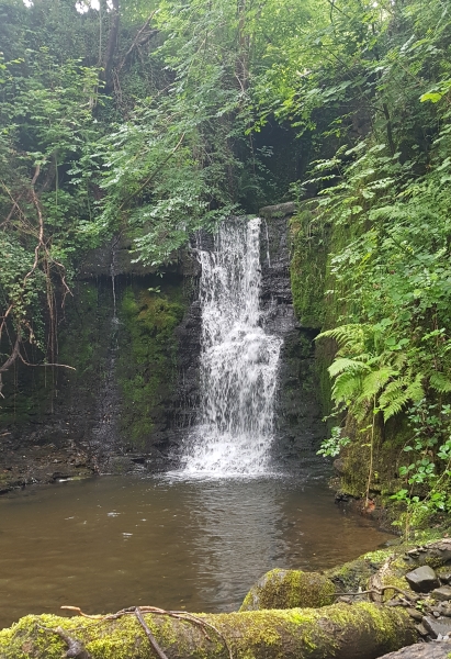 Nant Melyn Farm
