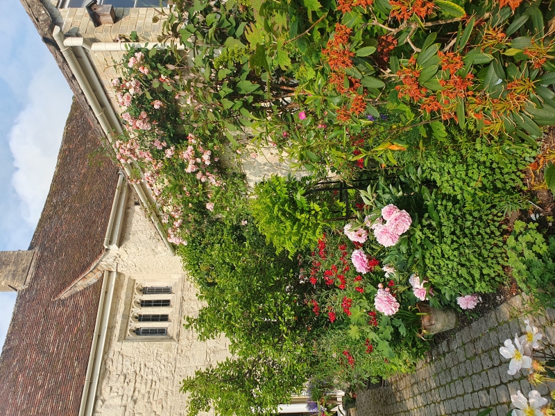 Burwell Village Gardens